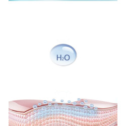 Humidificador Facial